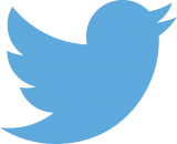 Official Twitter logo